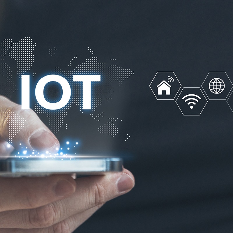 IoT Security in the 5G Era