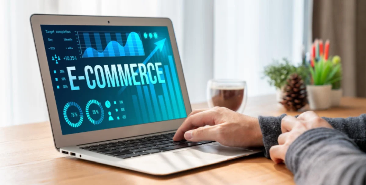 Ecommerce Web Development