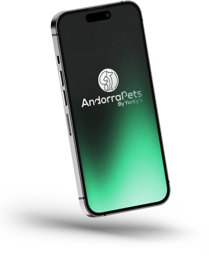 mobilescreen
