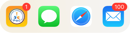 bottom icon
